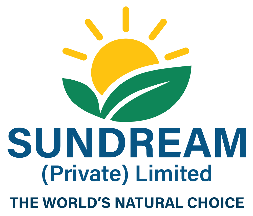 Sundream Logo
